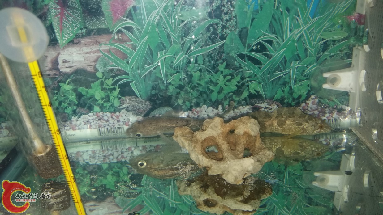 20160611_164929.jpg