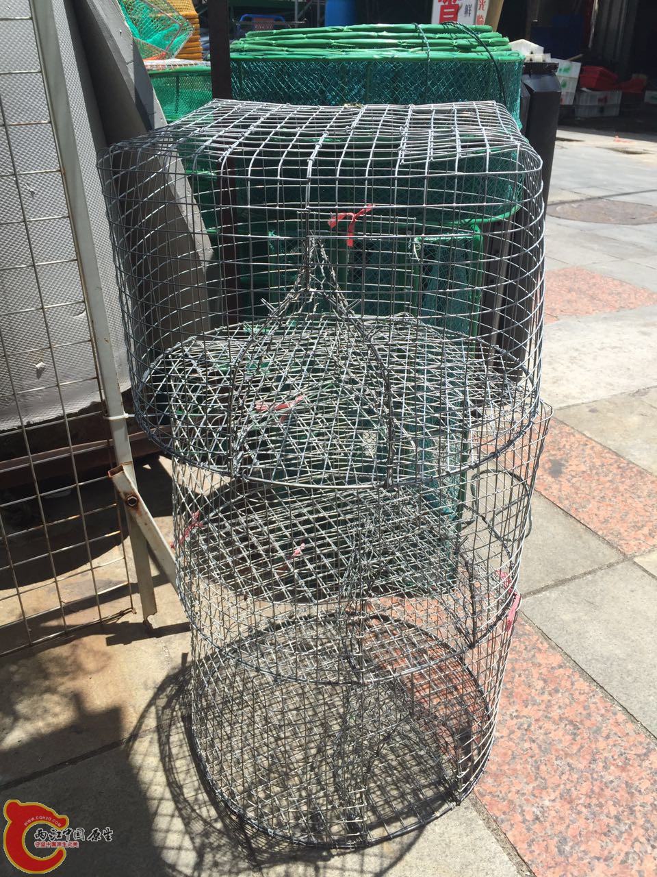 西涌4.jpg