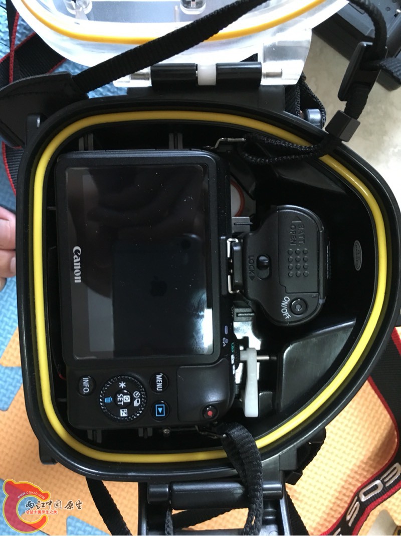 163204i7l37en8sls3q7yh.jpg 163204i7l37en8sls3q7yh.jpg