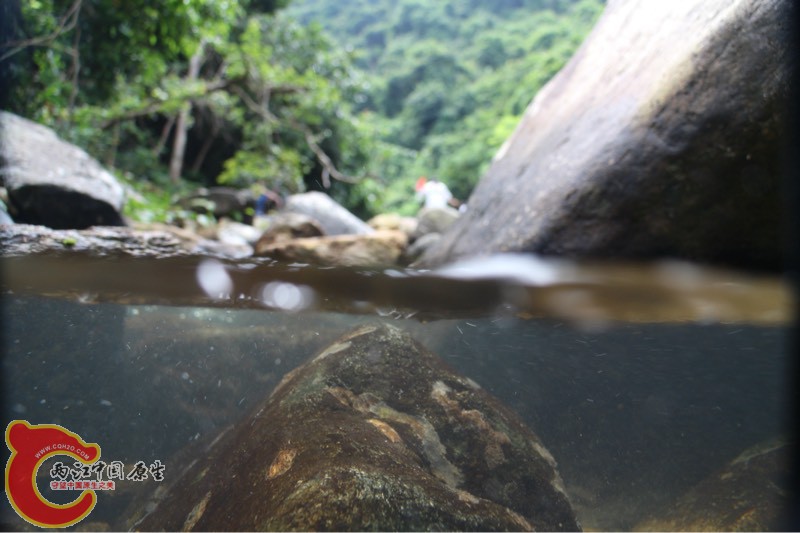 163205iie8o6i5oddnezm7.jpg 163205iie8o6i5oddnezm7.jpg