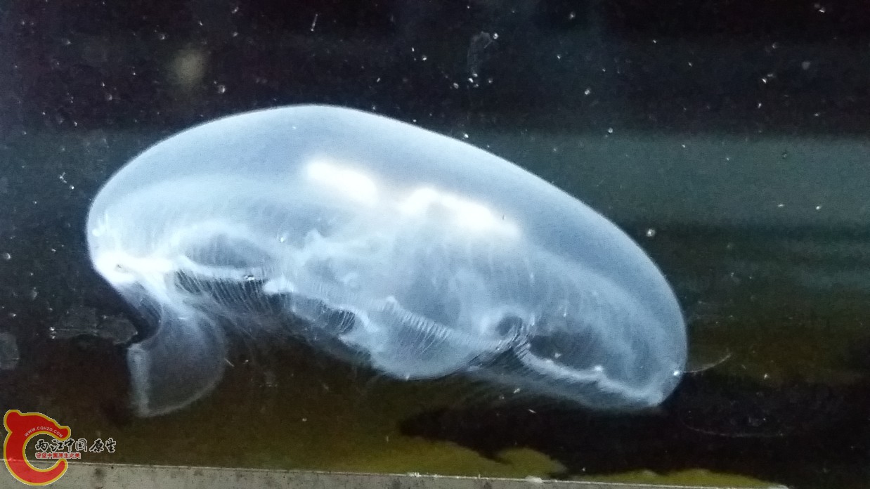 20160611_223637.jpg