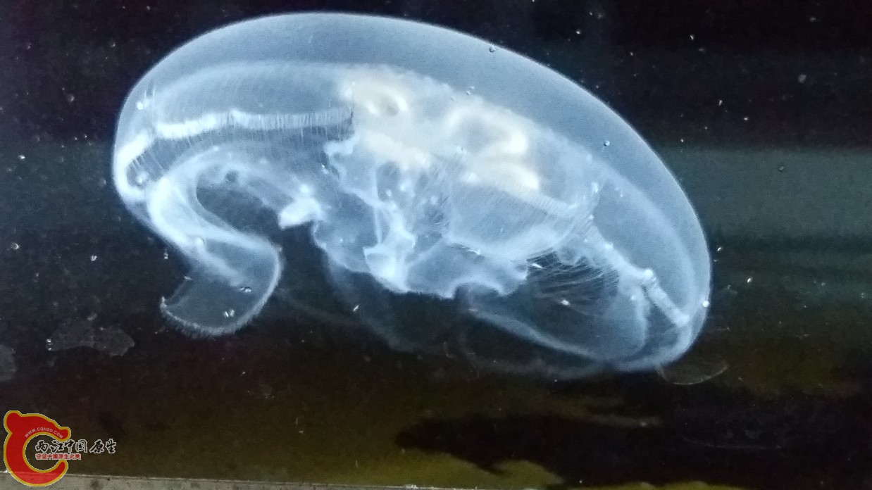 20160611_223639.jpg