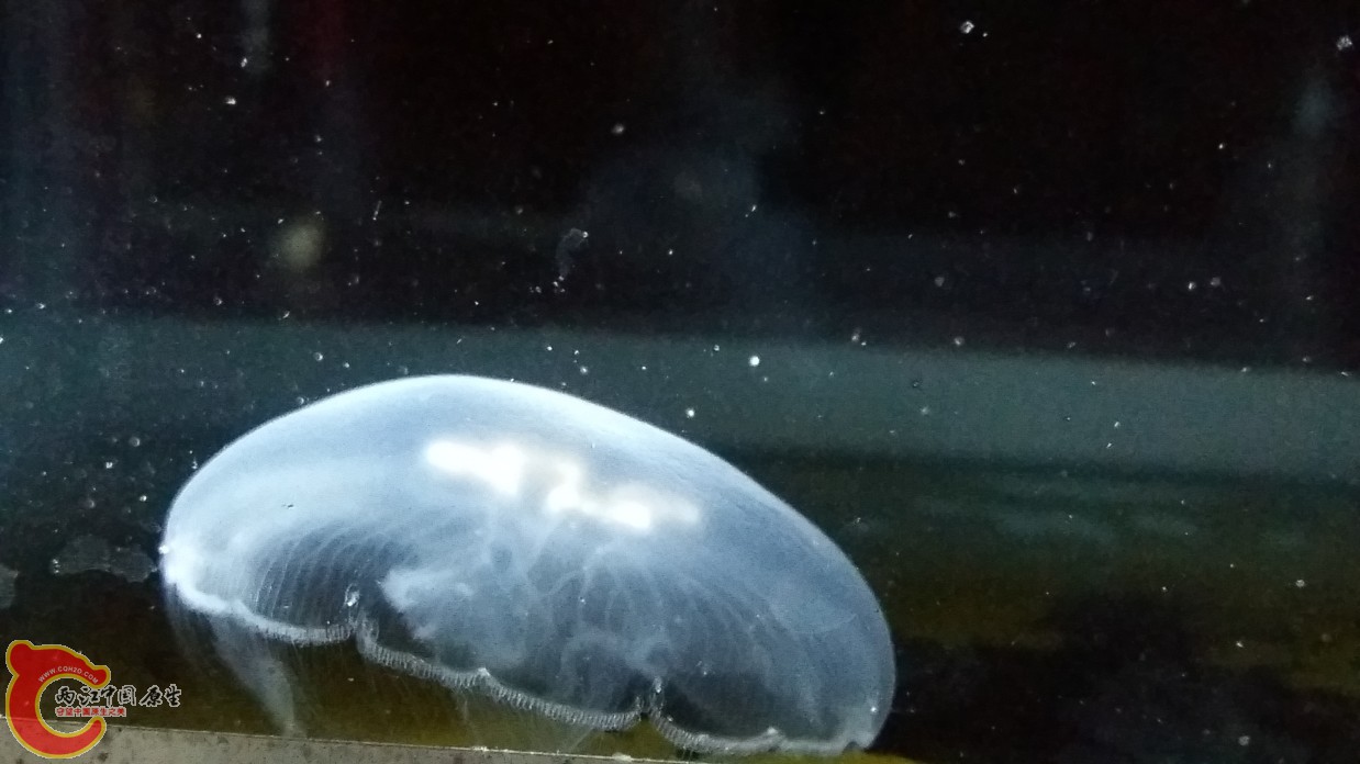 20160611_223628.jpg