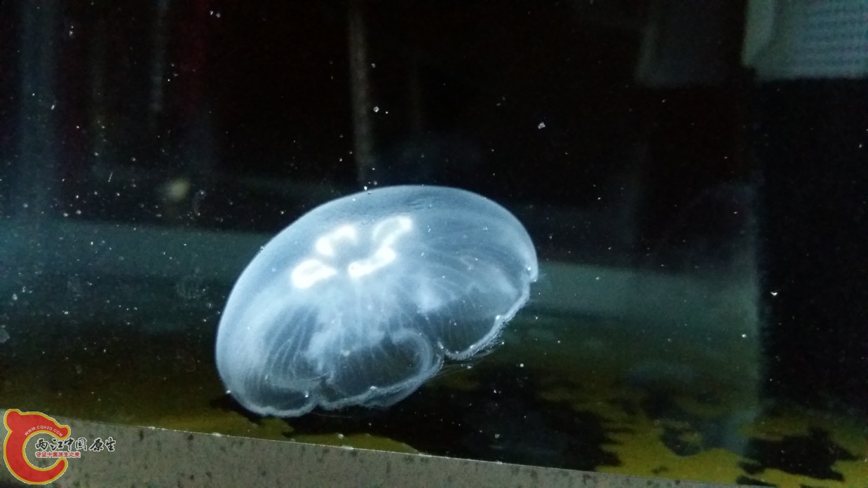 20160611_223618.jpg