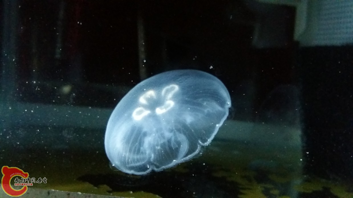 20160611_223616.jpg