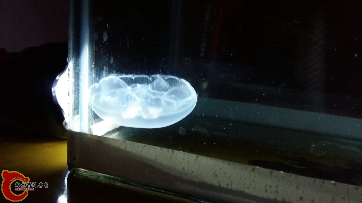20160611_223541.jpg