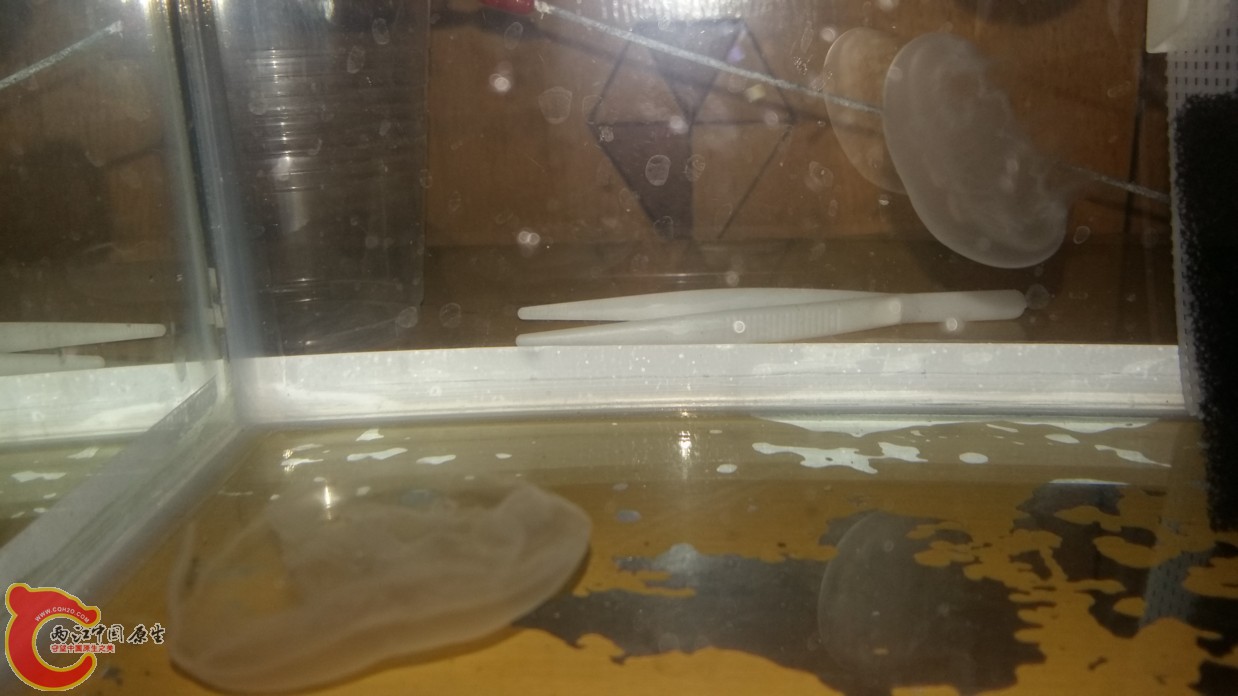 20160611_223233.jpg