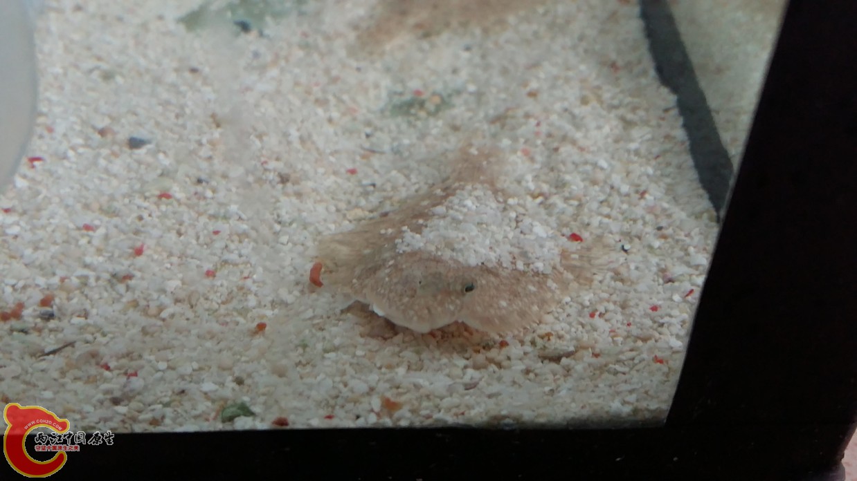 20160612_105957.jpg