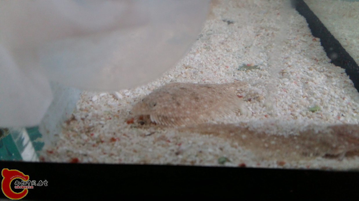 20160612_110055.jpg