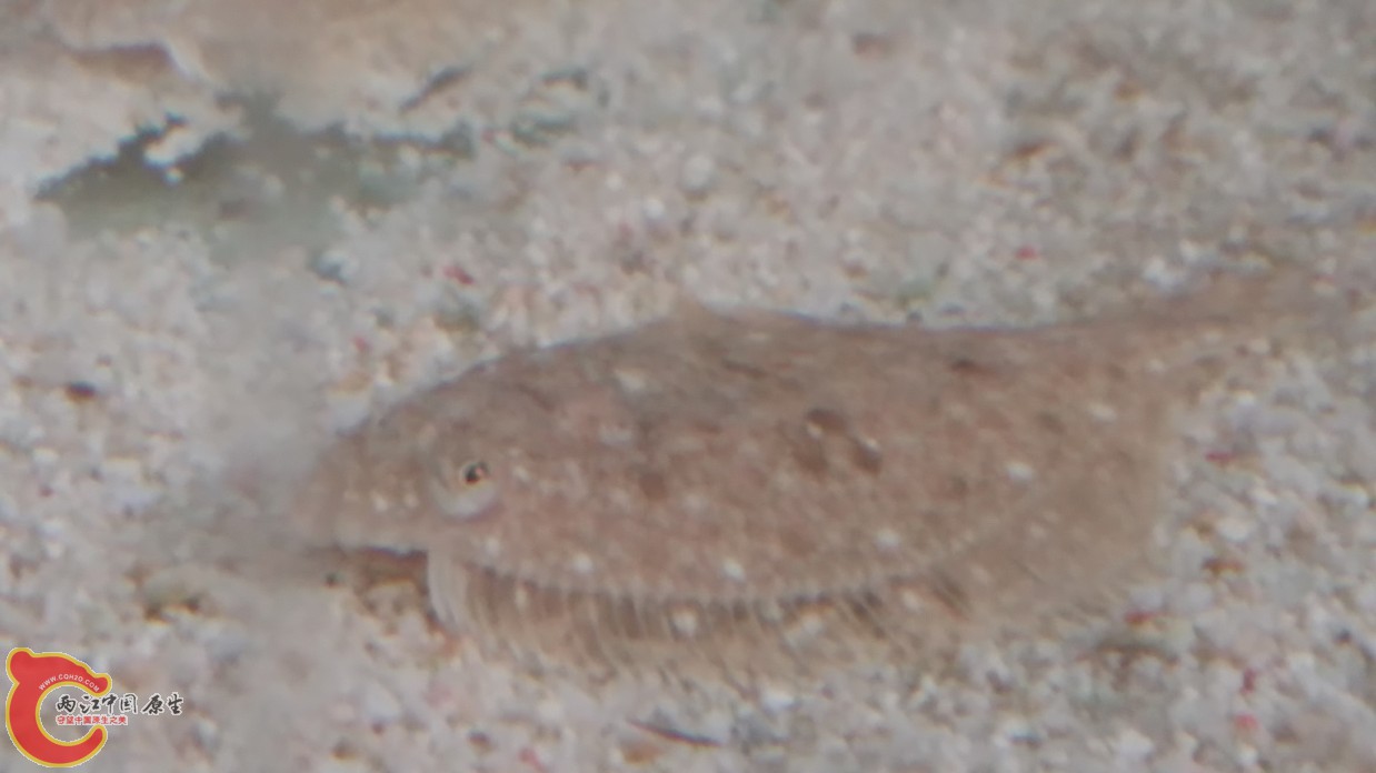 20160612_110135.jpg