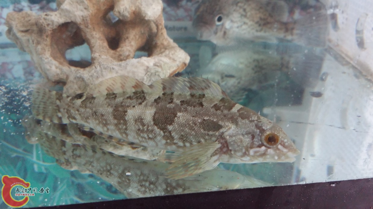 20160612_110244.jpg
