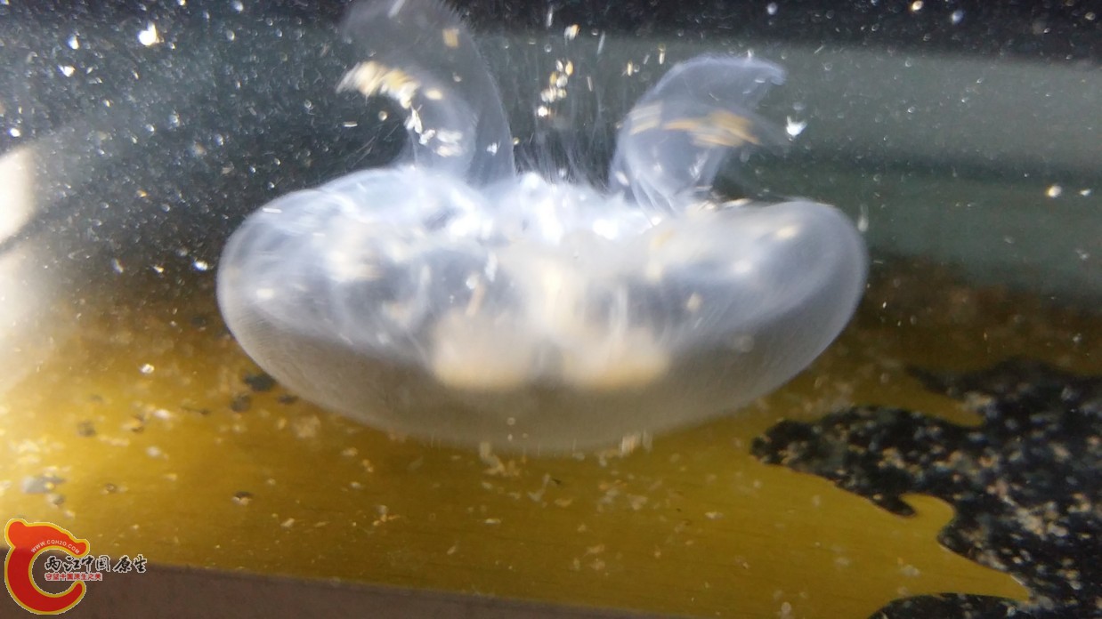 20160613_233535.jpg