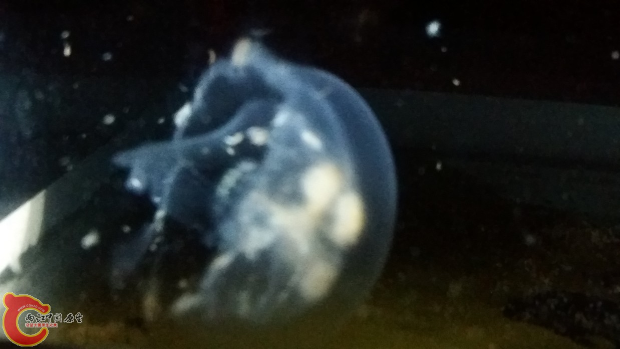 20160613_233852.jpg