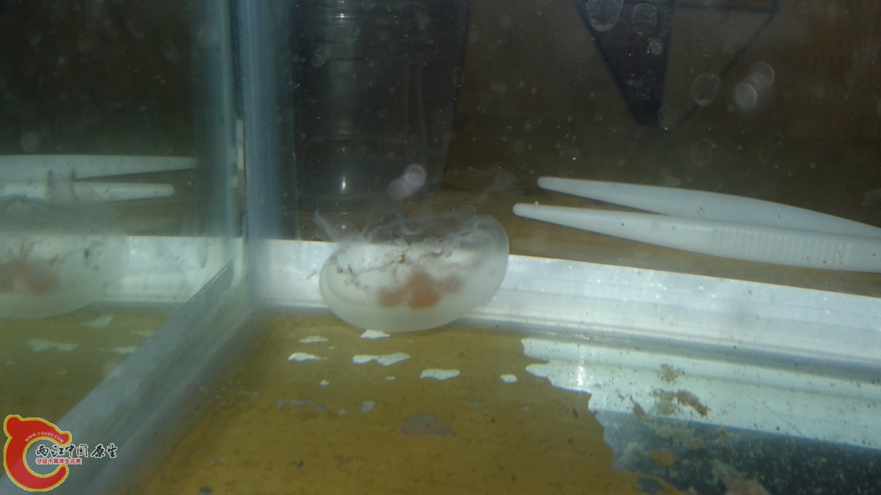 20160614_151511.jpg