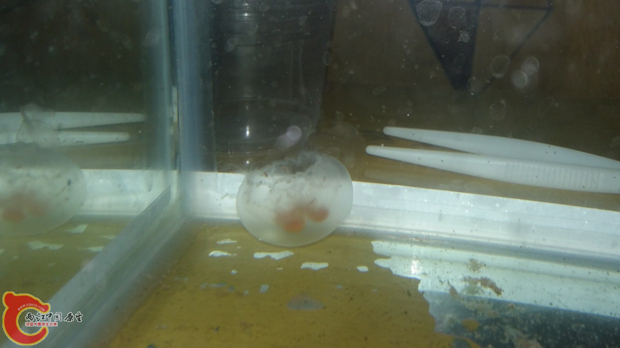 20160614_151514.jpg