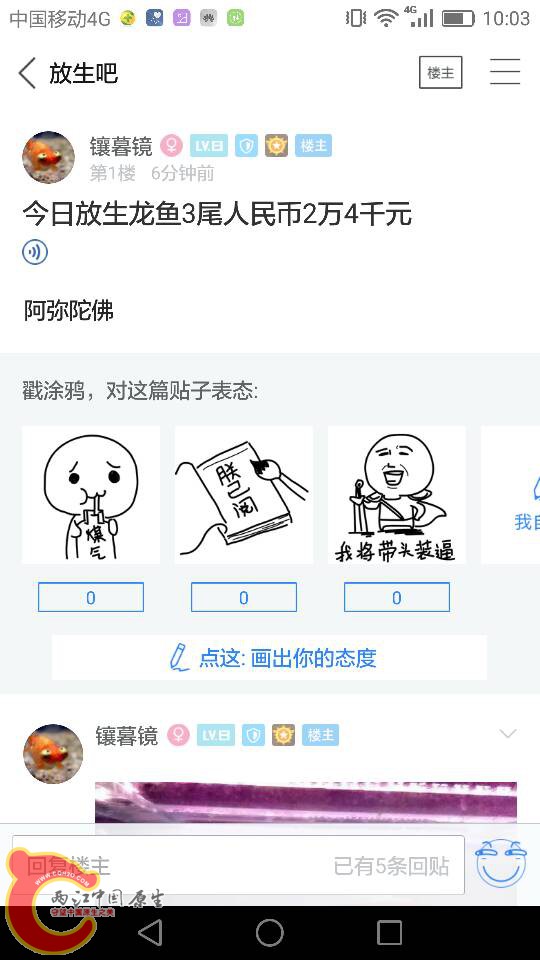 100551uj33bsrlbqj8zfj8.png