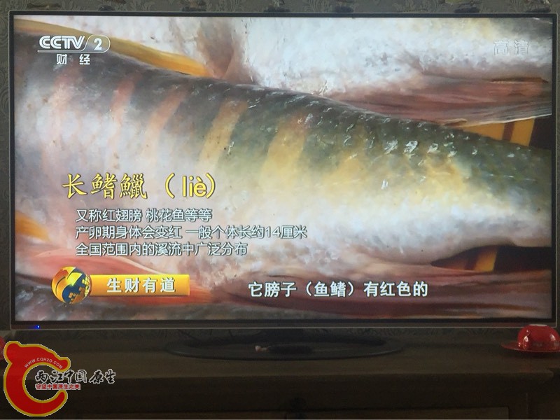 115812snu6kycgugcycnb8.jpg
