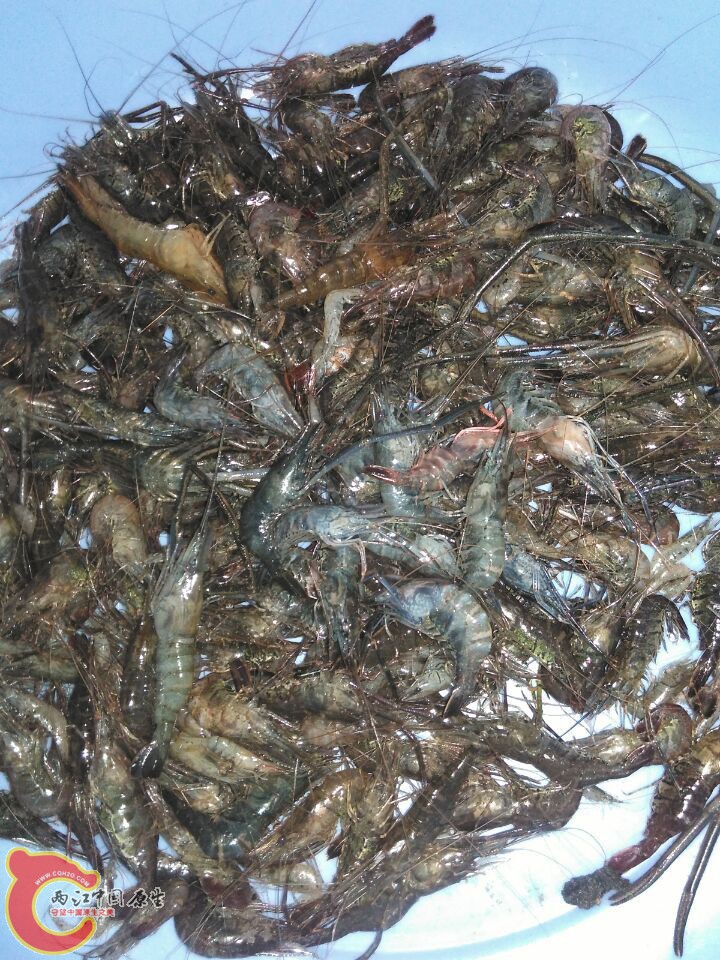 QQ图片20160615091617.jpg