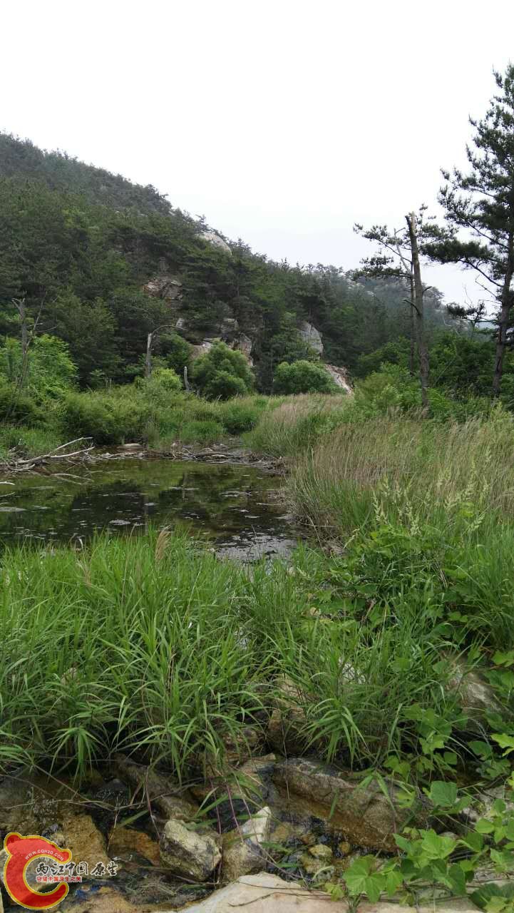 299005419376777152.jpg