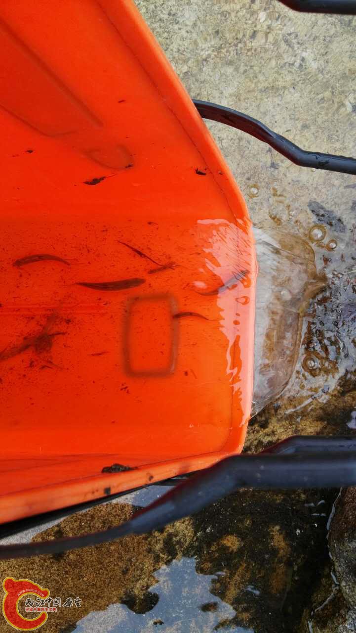 391324274046507263.jpg