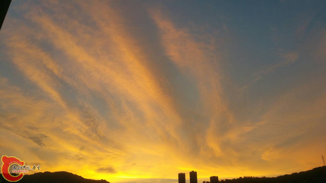 230148jcecpgvcewo9p1uc.jpg