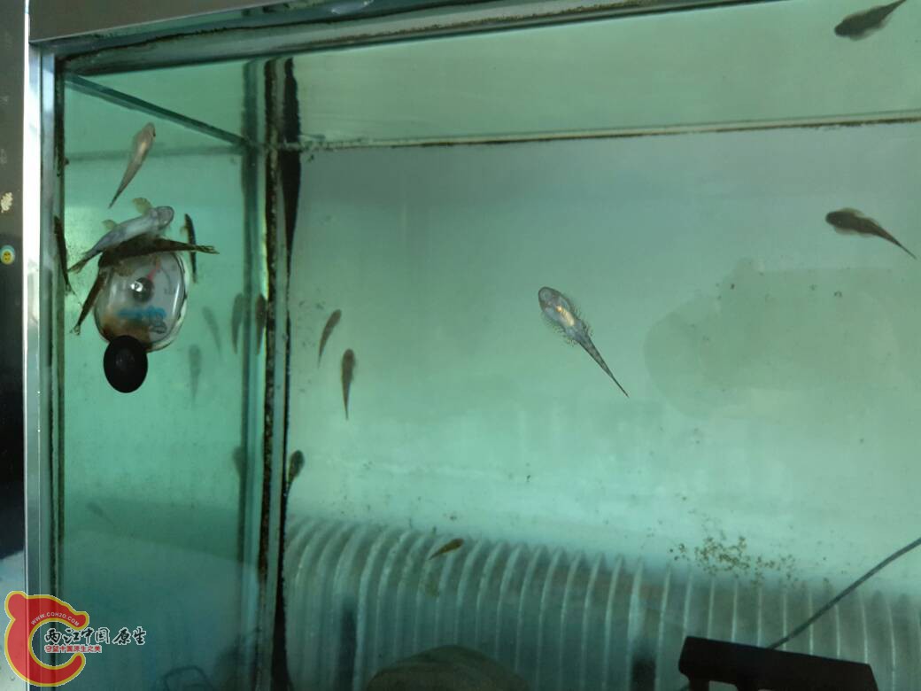 064415vx9opxojryutj9zo.jpg