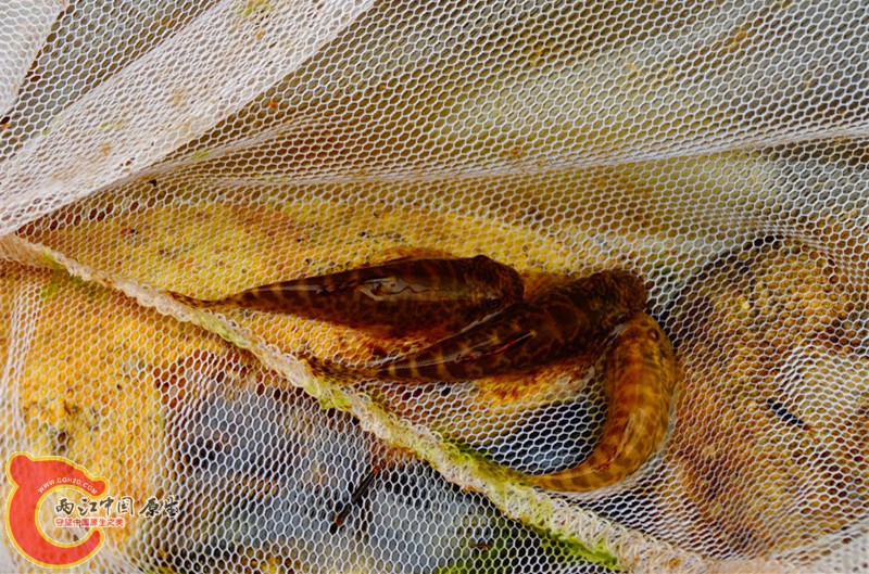 DSC02489.JPG