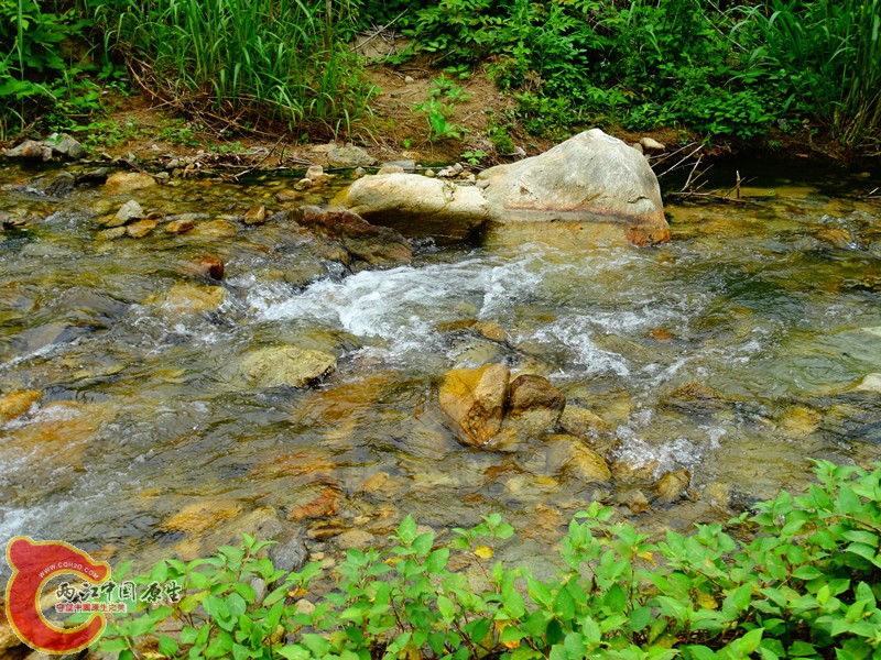 DSC02496.JPG