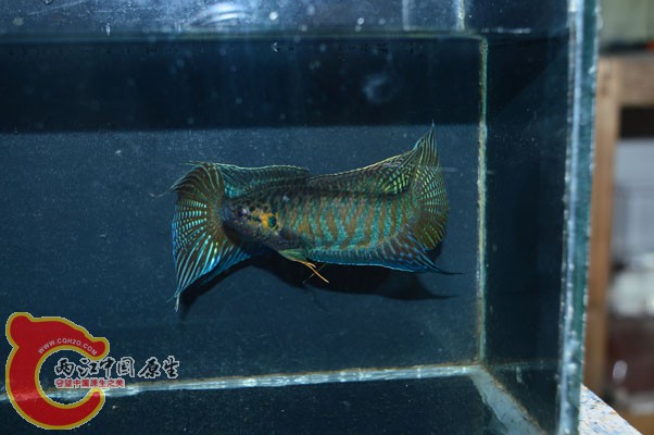 DSC_0131.JPG
