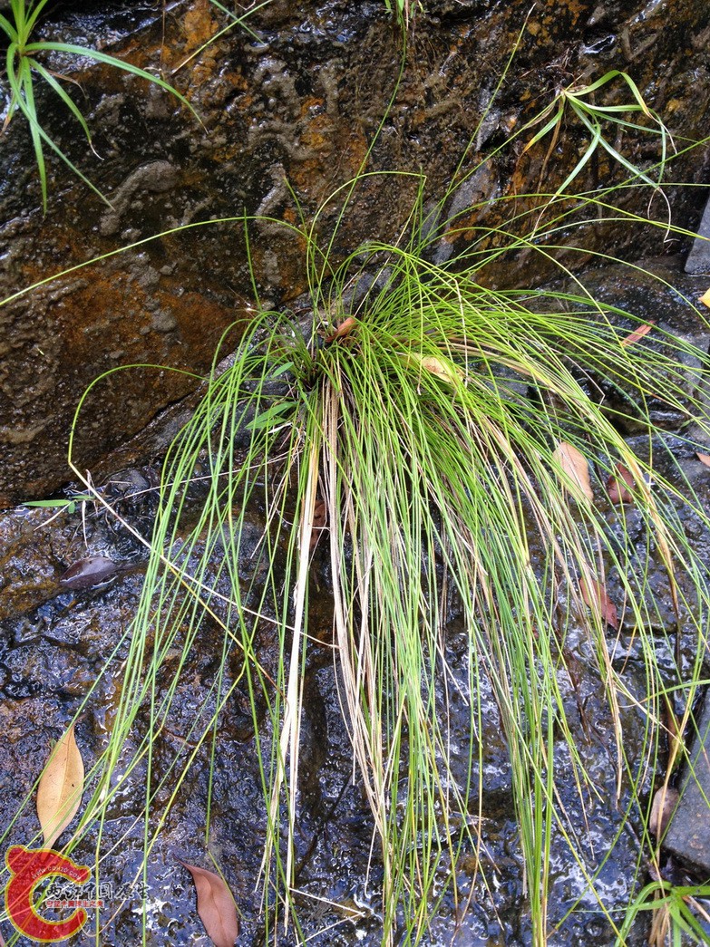 IMG_1048.JPG