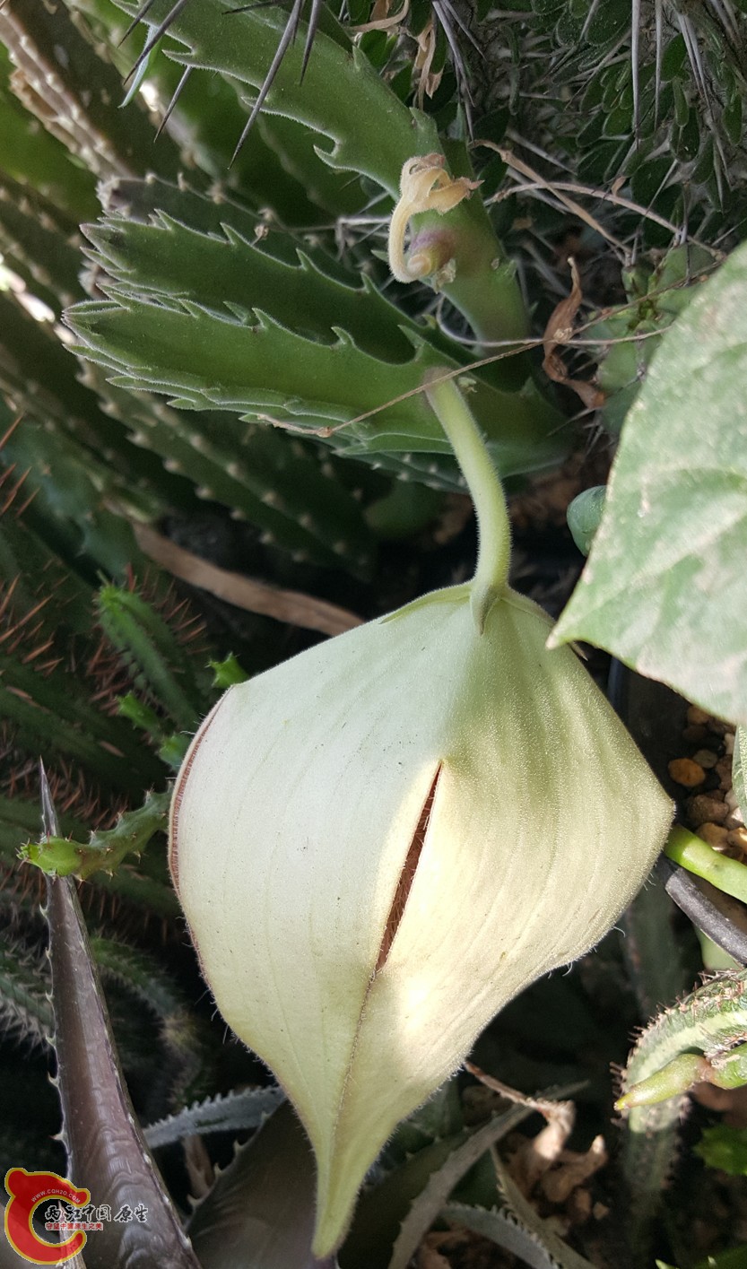 20160630_093811_副本.jpg