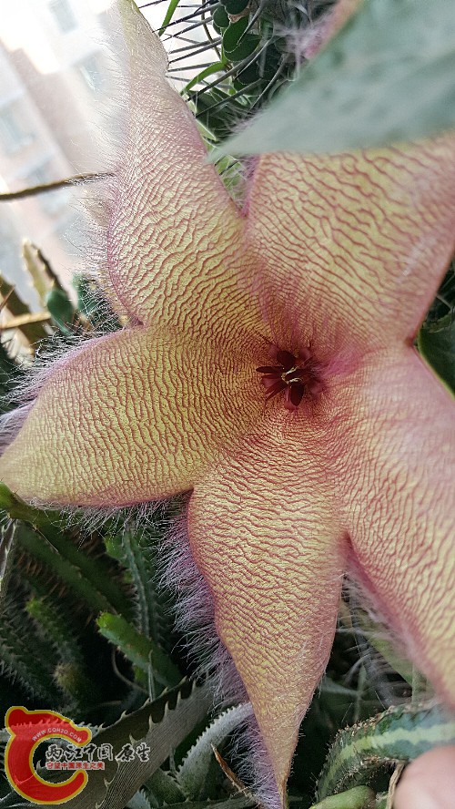 20160630_104316_副本.jpg