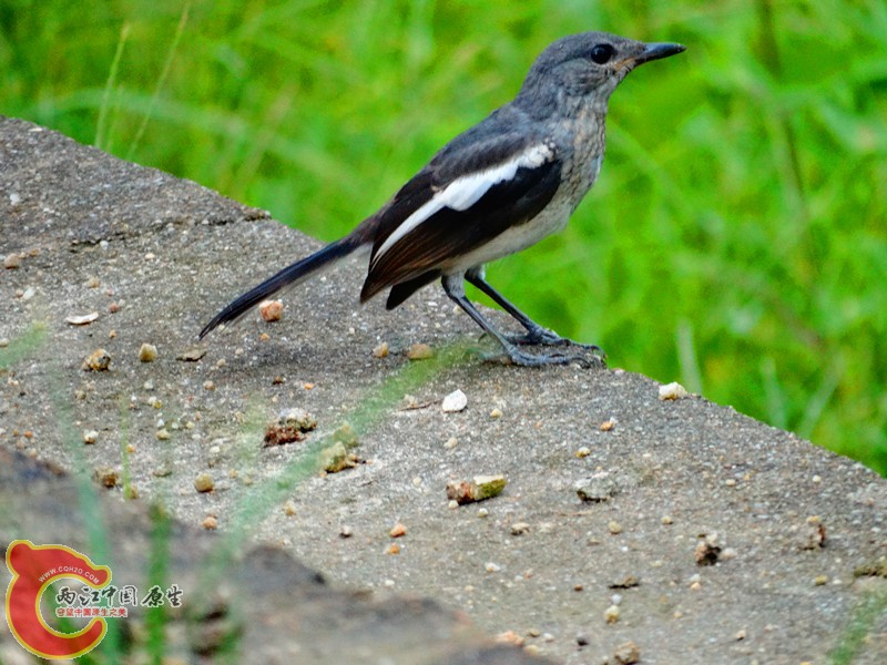 DSC02572.JPG
