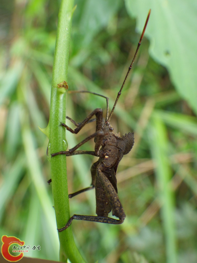 RIMG5924.jpg