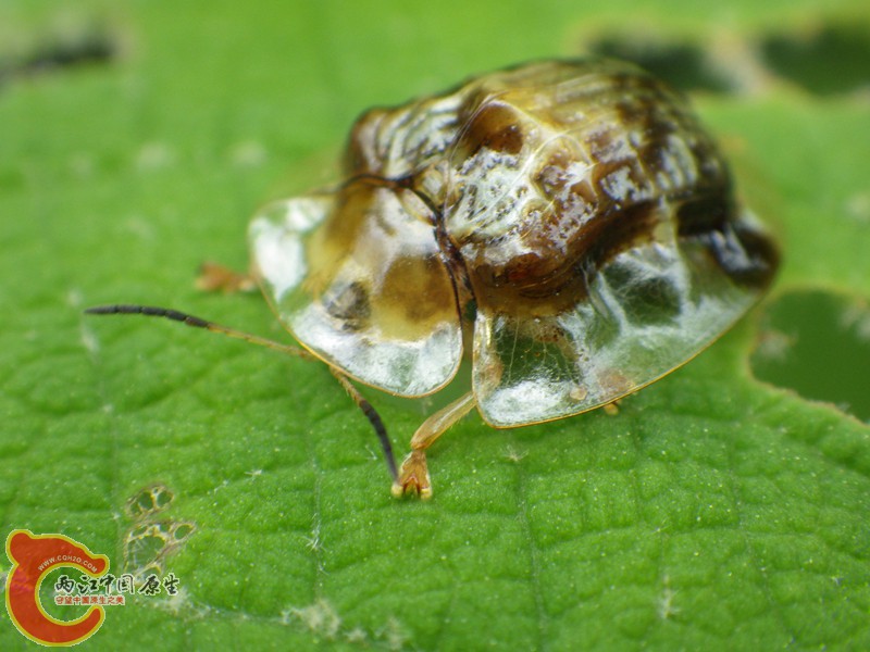 RIMG5944.jpg
