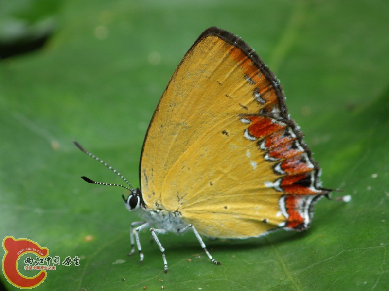 RIMG6018.jpg