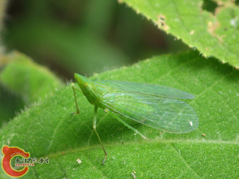 RIMG6061.jpg