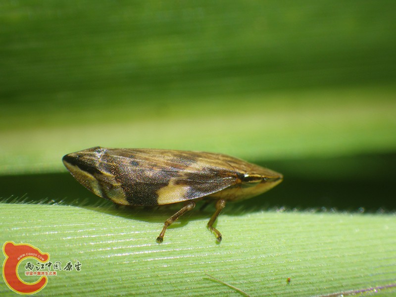 RIMG6158.jpg
