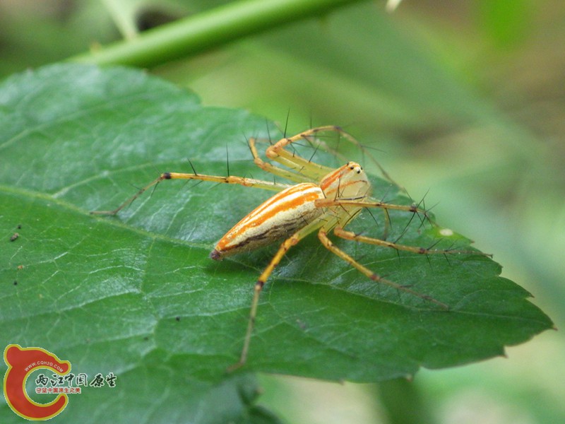 RIMG6339.jpg