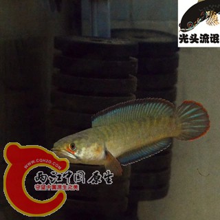 psb (2)_副本.jpg