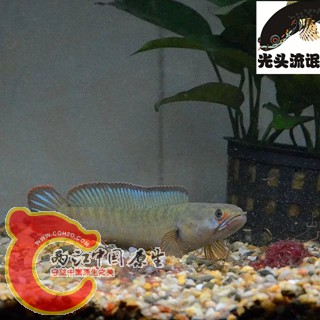 psb (3)_副本.jpg