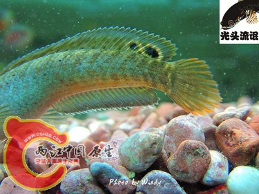psb (4)_副本.jpg