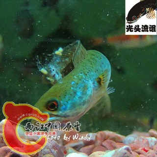 psb (5)_副本.jpg
