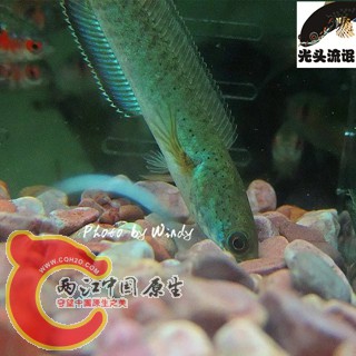 psb (6)_副本.jpg