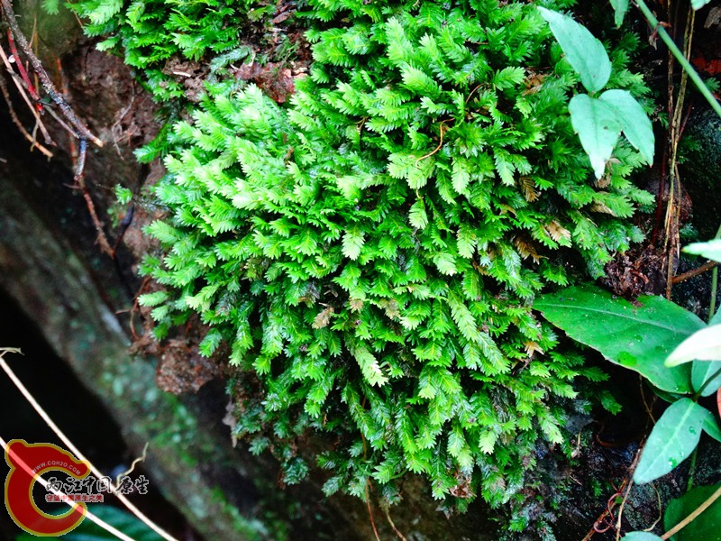 DSC02534.JPG