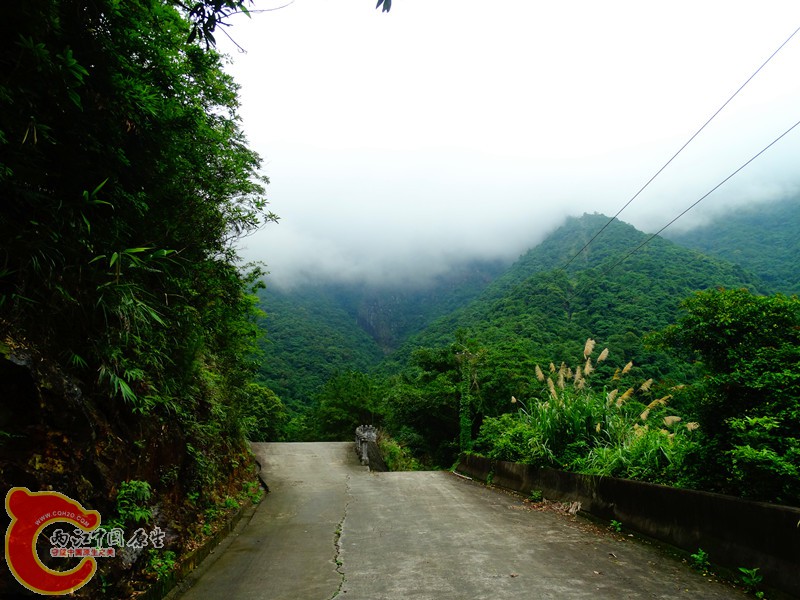 DSC02548.JPG