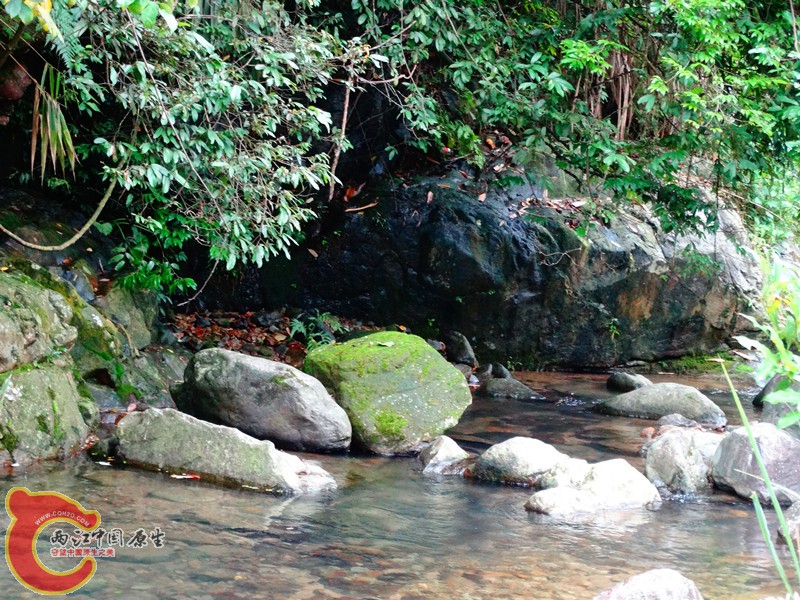 DSC02556.JPG