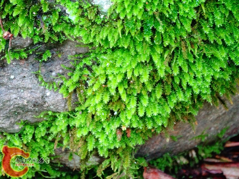 DSC02559.JPG