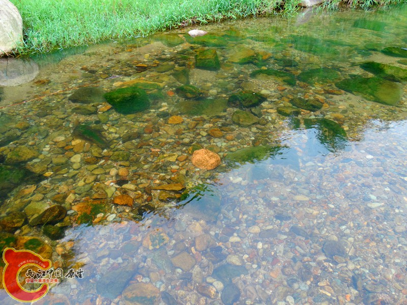 DSC02564.JPG