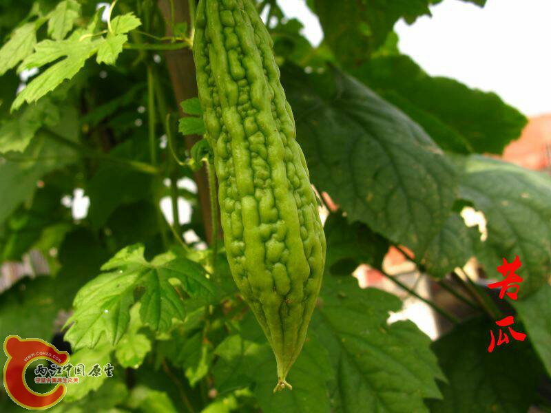 101056oeio08r0aaimfqdq.jpg